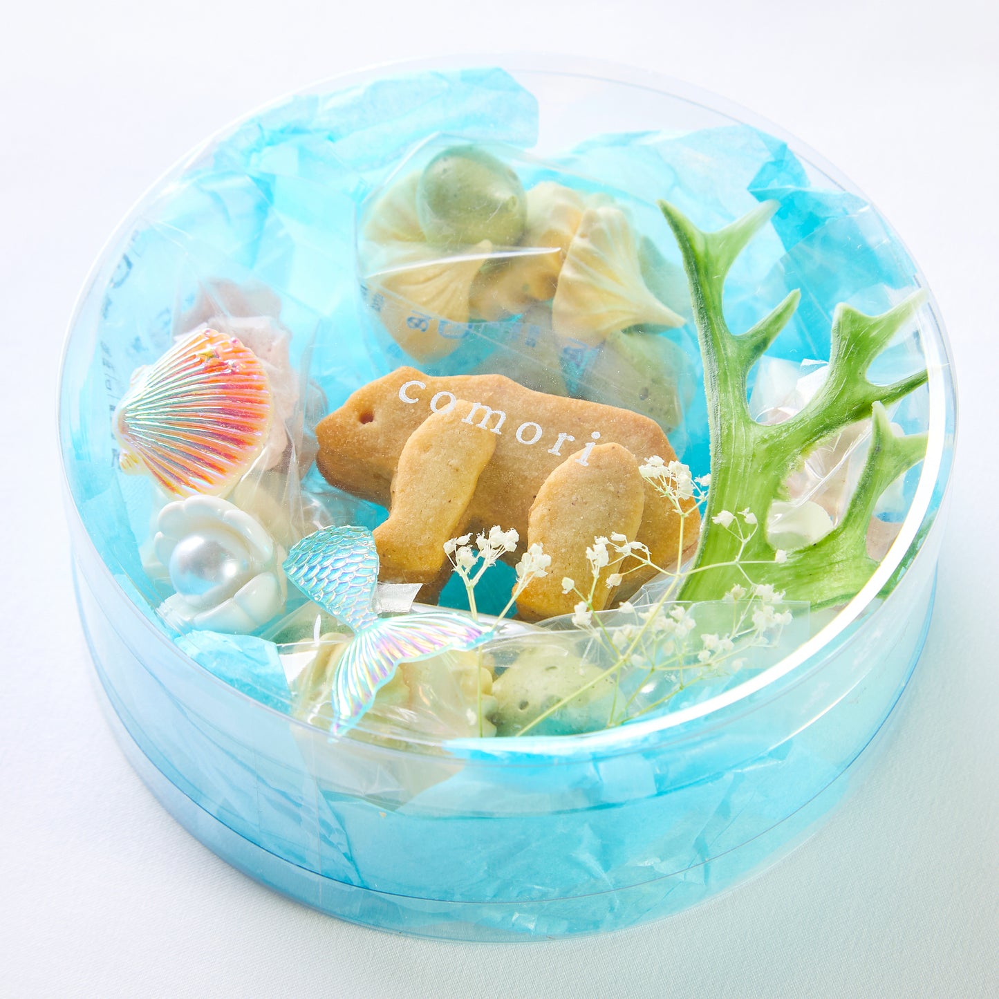 こぐまのパーティーボックス(mermaid)3