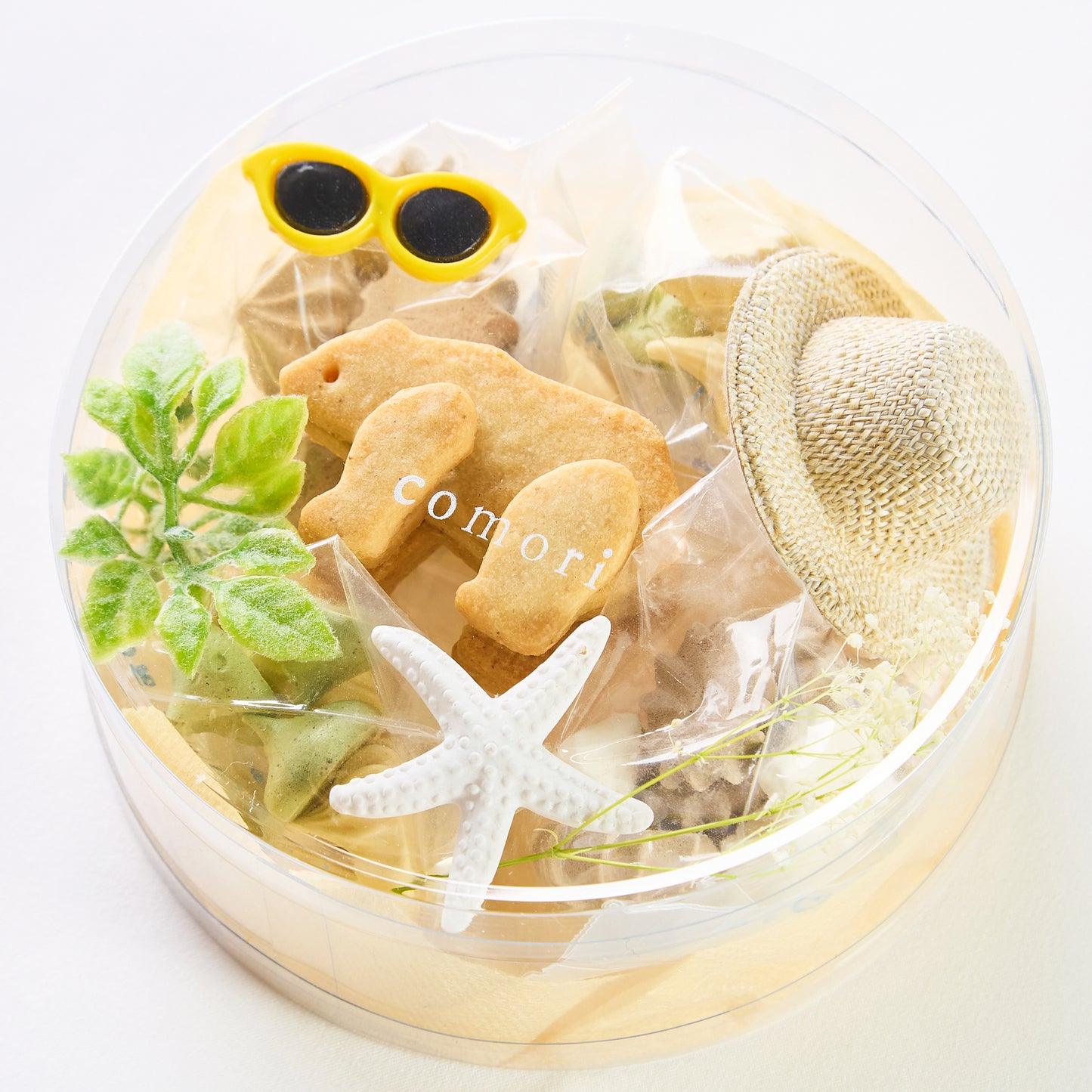 こぐまのパーティーボックス(summer)3