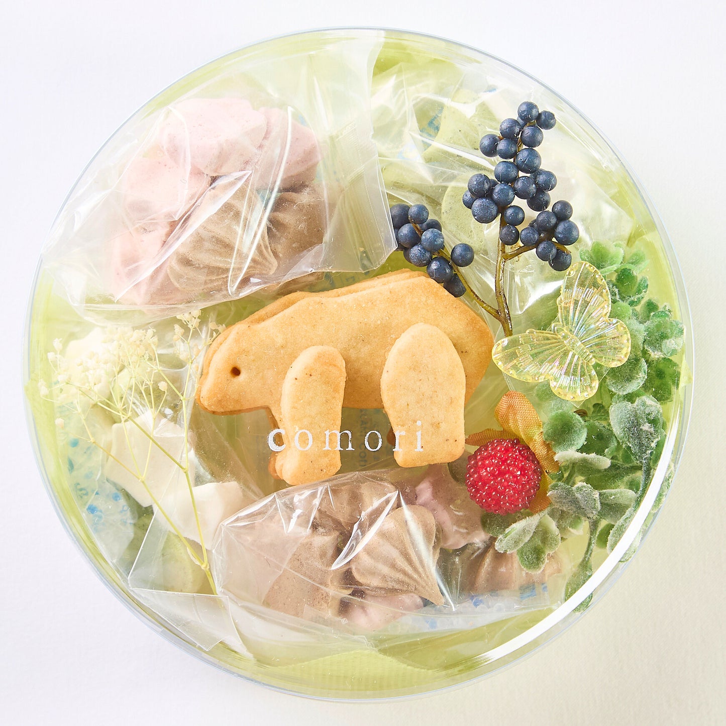 こぐまのパーティーボックス(garden)1