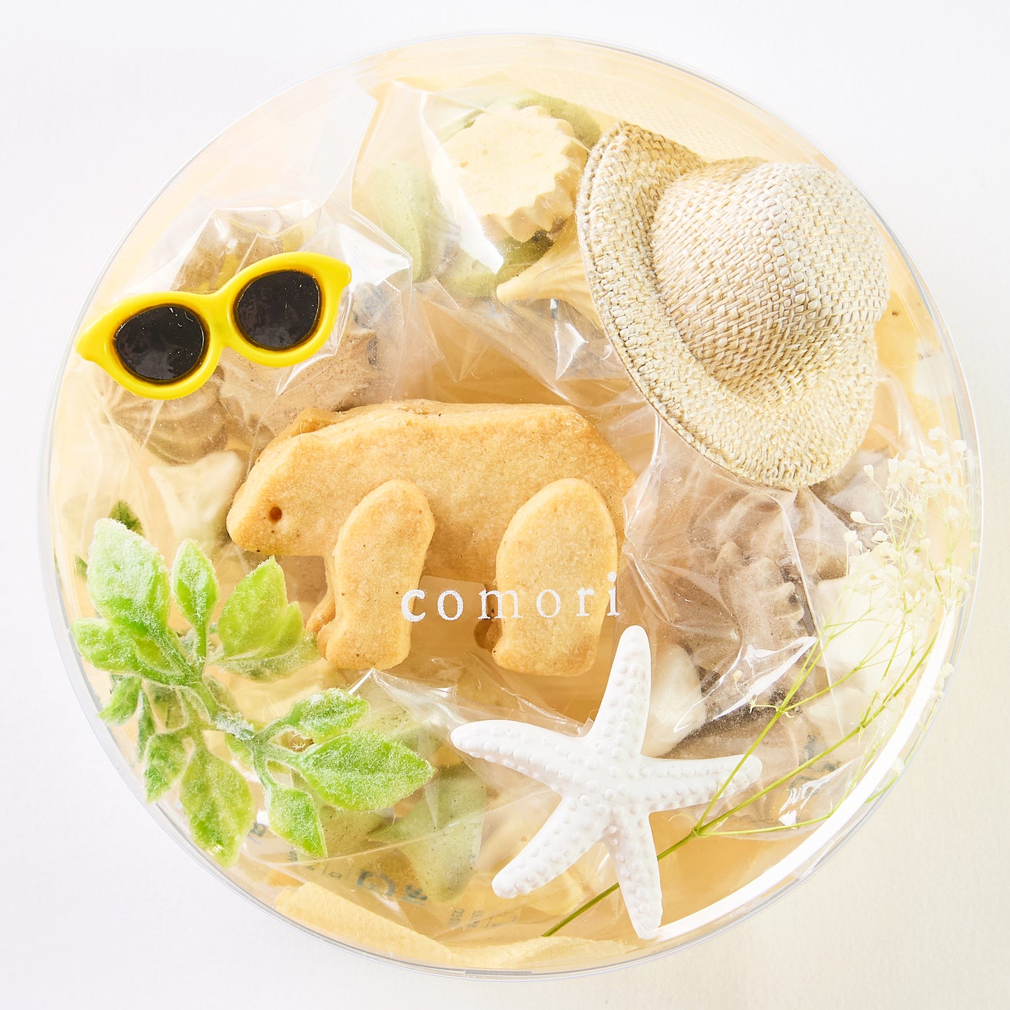 こぐまのパーティーボックス(summer)1