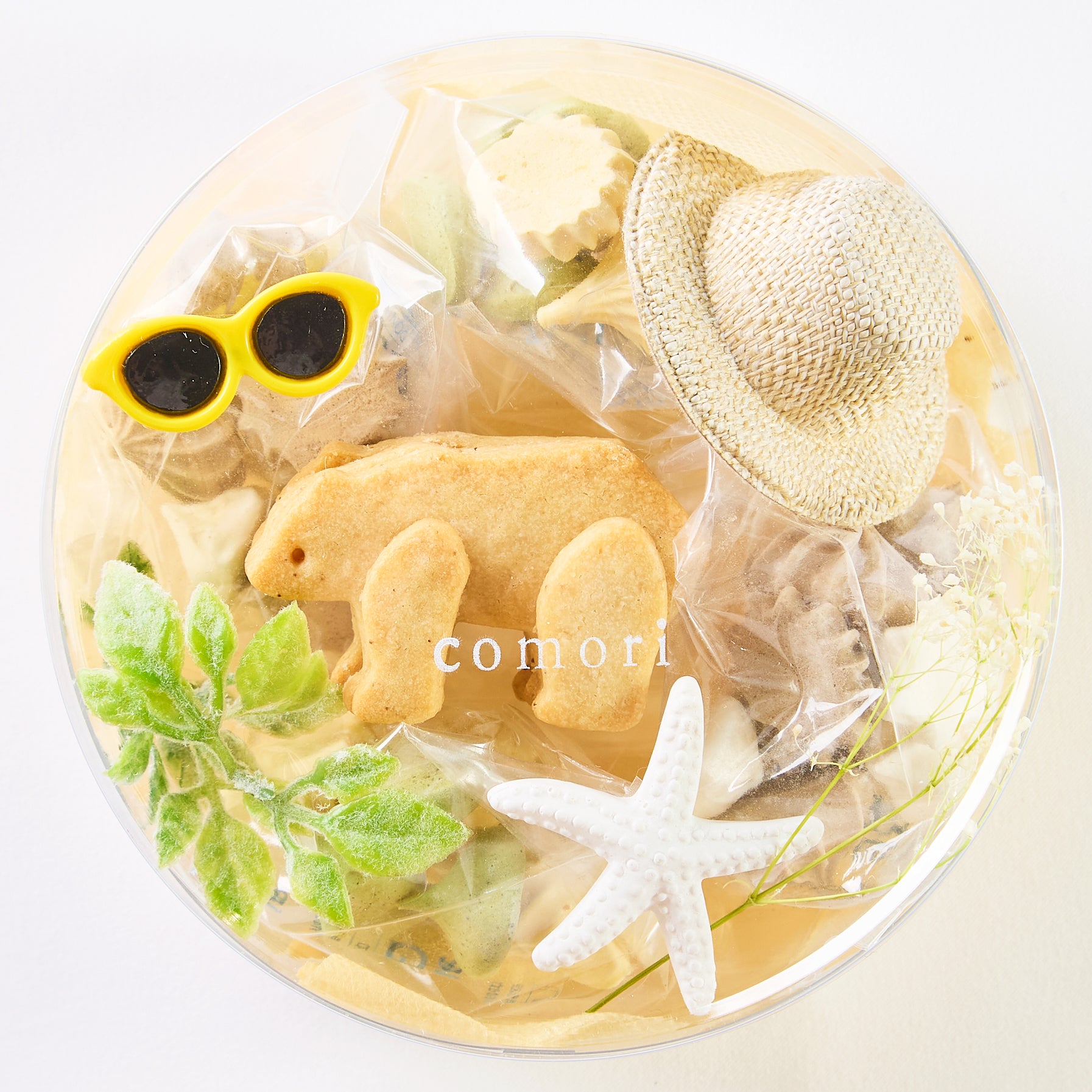 こぐまのパーティーボックス(summer)1