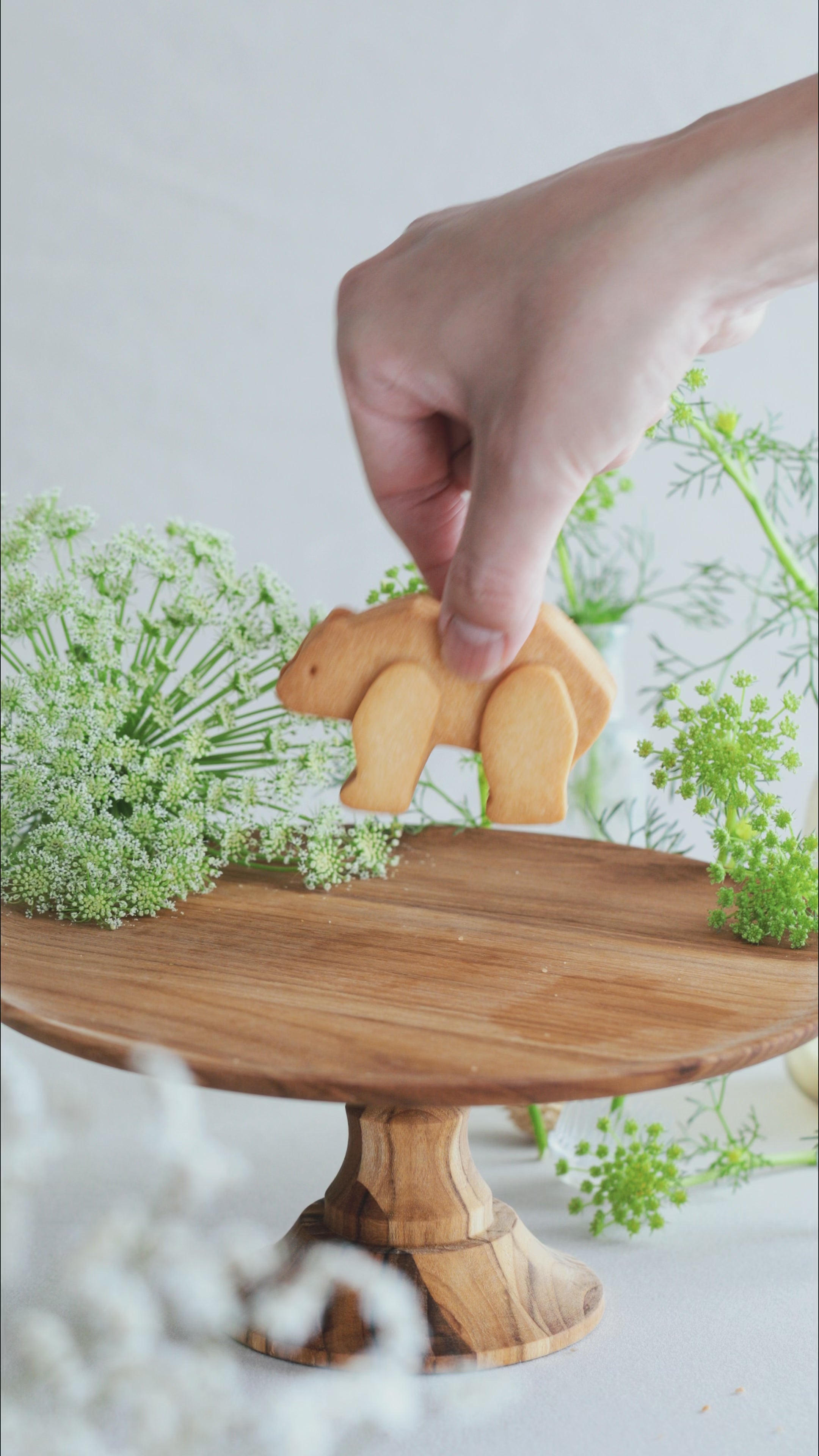 小さな森のクッキー缶とメレンゲ花束のギフトボックス – comori